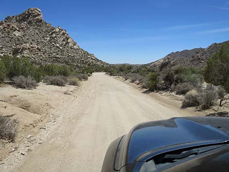 Christmas Tree Pass Road