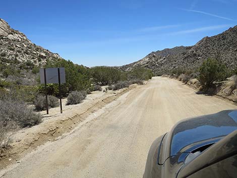 Christmas Tree Pass Road