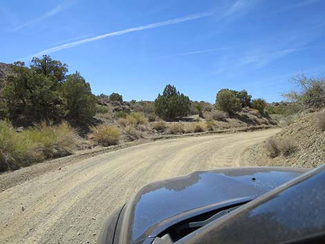 Christmas Tree Pass Road