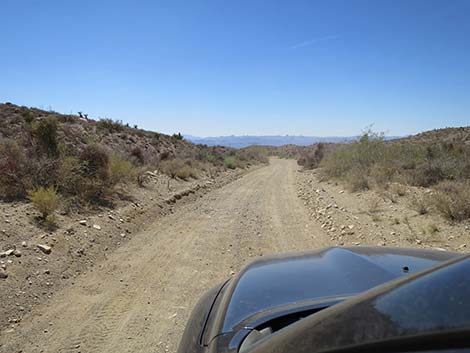 Christmas Tree Pass Road