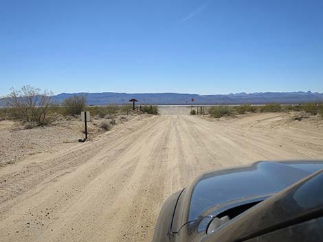 Christmas Tree Pass Road