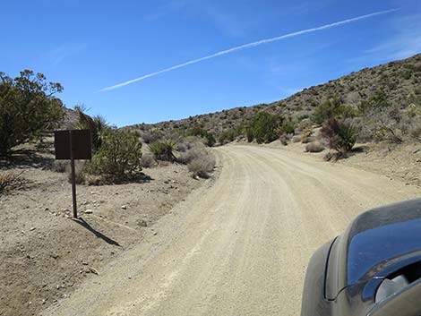 Christmas Tree Pass Road