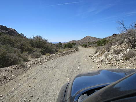 Christmas Tree Pass Road