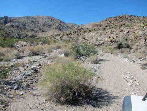 Camp Dupont Mine Road