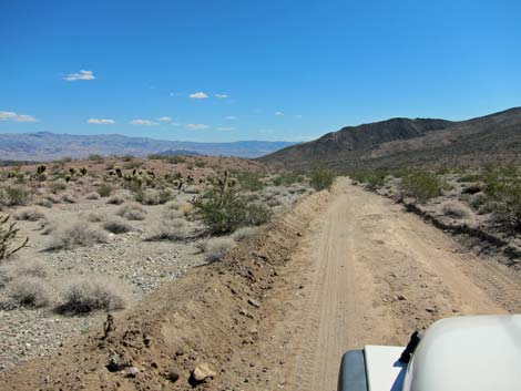 Opal Mountain Road