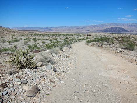 Rockefeller Mine Road