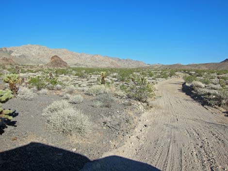 Rockefeller Mine Road