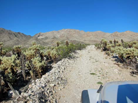 Rockefeller Mine Road