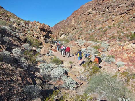 Seven Falls Canyon