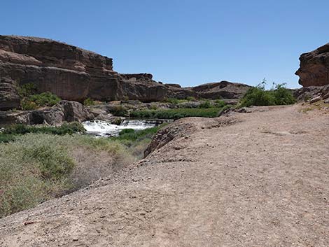 Wetlands Trail