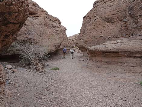 White Owl Canyon