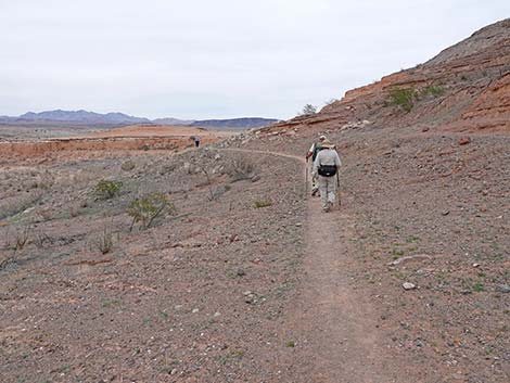 White Owl Canyon