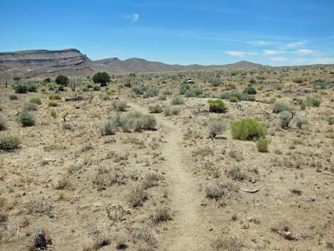 Barber Loop Trail