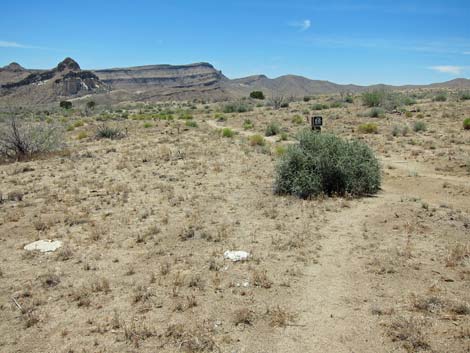 Barber Loop Trail