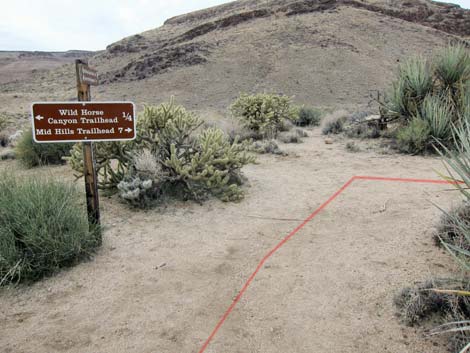 Barber Peak Loop