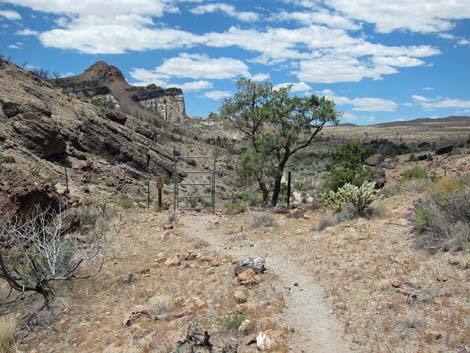 Barber Loop Trail