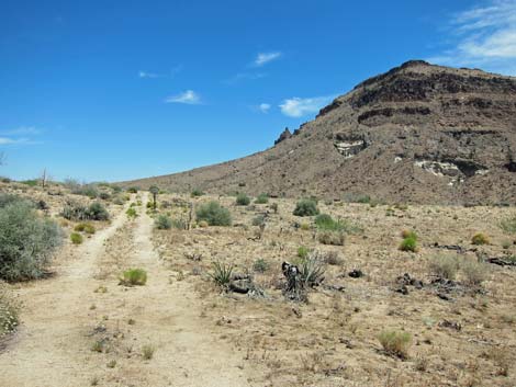 Barber Loop Trail