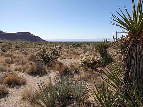 Barber Loop Trail