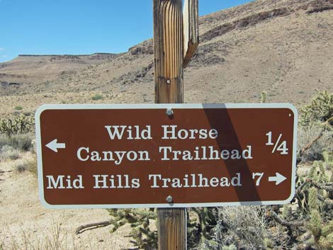 Wild Horse Spur Trail