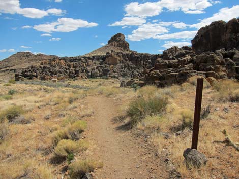 Cactus Garden Loop Trail