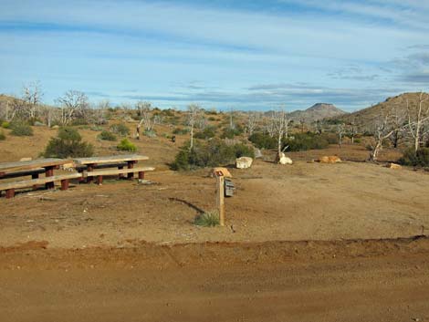 Mid Hills Campground