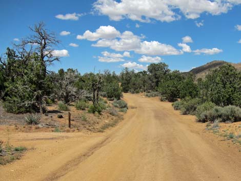 Mid Hills Campground