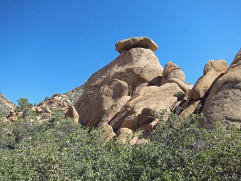 Caruthers Canyon