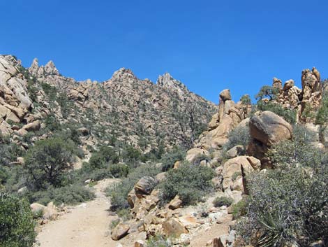 Caruthers Canyon