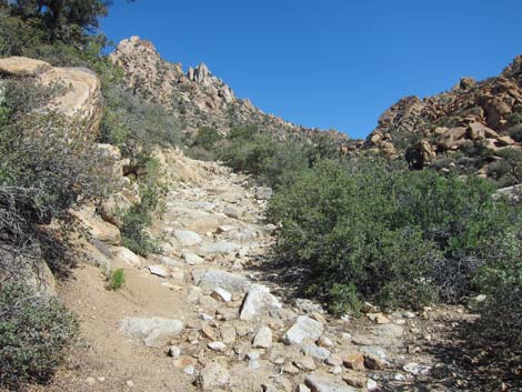 Caruthers Canyon