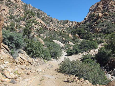 Caruthers Canyon