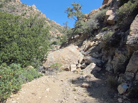 Caruthers Canyon