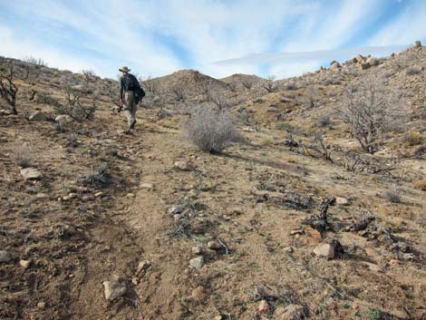 Hole-in-the-Wall to Mid Hills Trail