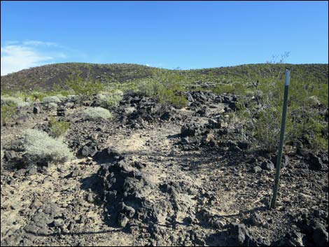 Lava Tube