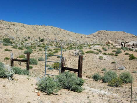 Mid Hills Loop Trail