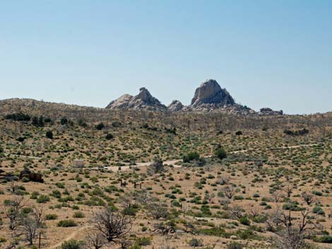 Mid Hills Loop Trail