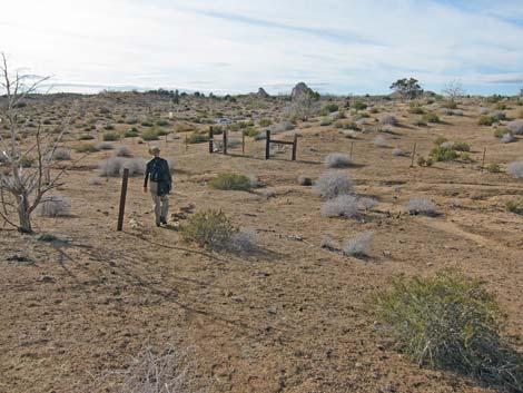 Mid Hills Loop Trail