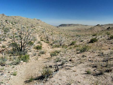 Mid Hills Loop Trail