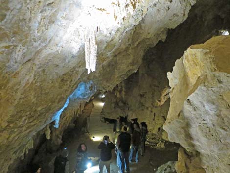 Mitchell Caverns Trail