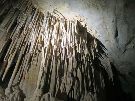 Mitchell Caverns Trail