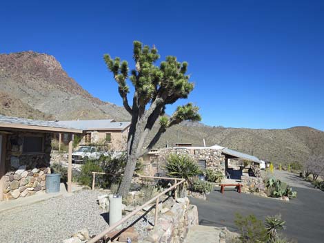 Mitchell Caverns Visitor Center