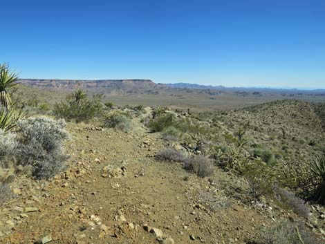 Mitchell Caverns Visitor Center