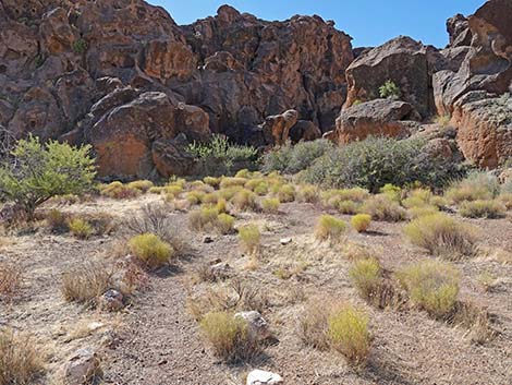 Banshee Canyon Overlook