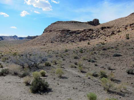 Rings Loop Trail