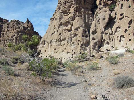 Rings Loop Trail