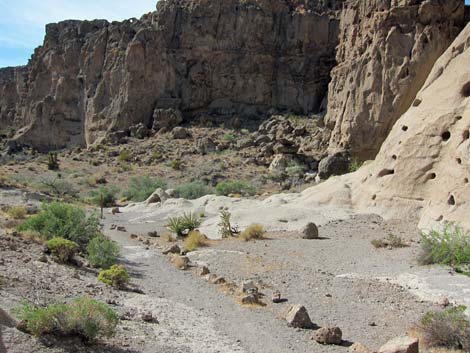 Rings Loop Trail