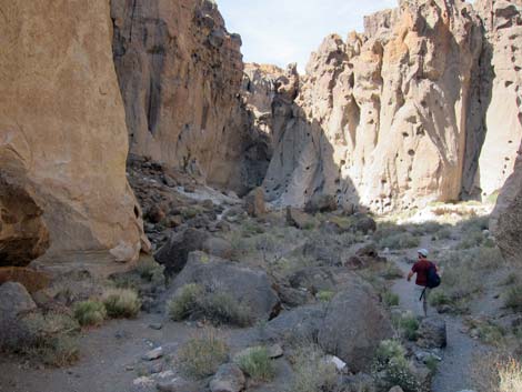 Rings Loop Trail