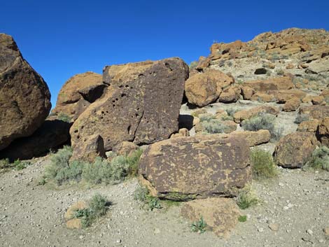 Rings Loop Trail