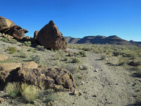 Rings Loop Trail