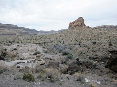 Rings Trail