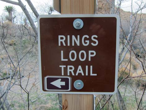 Rings Trail